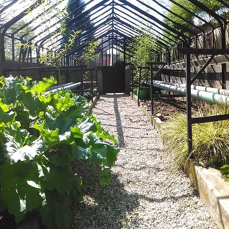 Bed and breakfast Le Jardin Des Erables