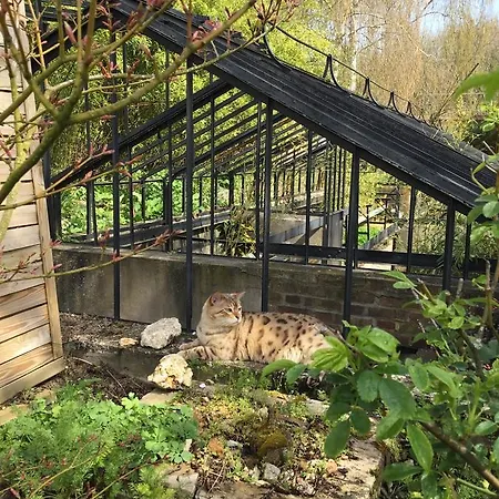 Le Jardin Des Erables