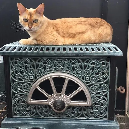 Le Jardin Des Erables