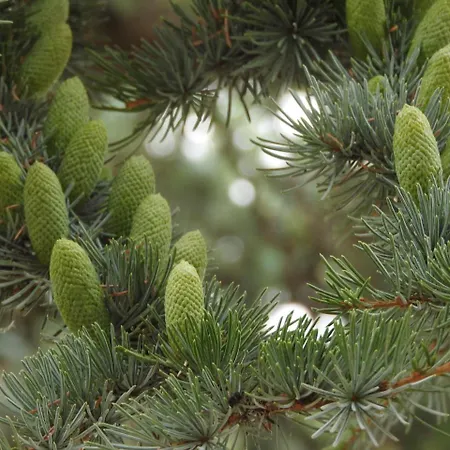 Le Jardin Des Erables 4*