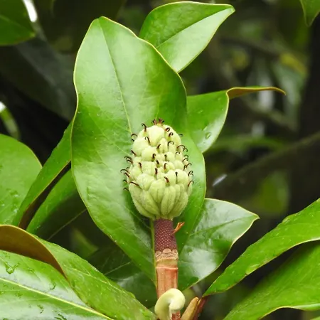 Nocleg ze śniadaniem Le Jardin Des Erables Saint-Marcel (Eure)