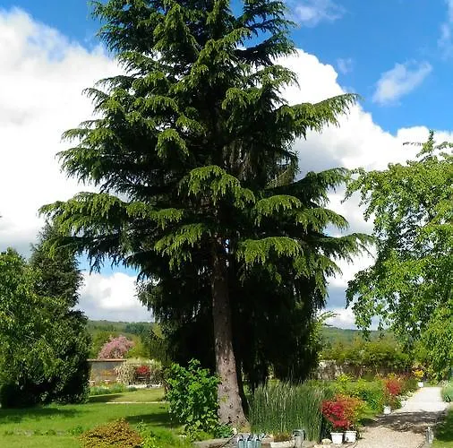 Le Jardin Des Erables Сен-Марсель