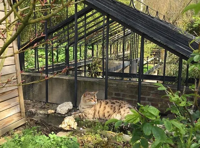 Le Jardin Des Erables