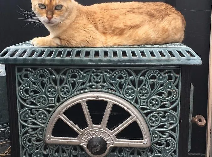 Le Jardin Des Erables