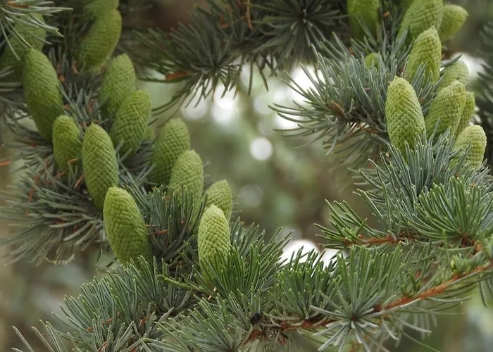 Le Jardin Des Erables 4*